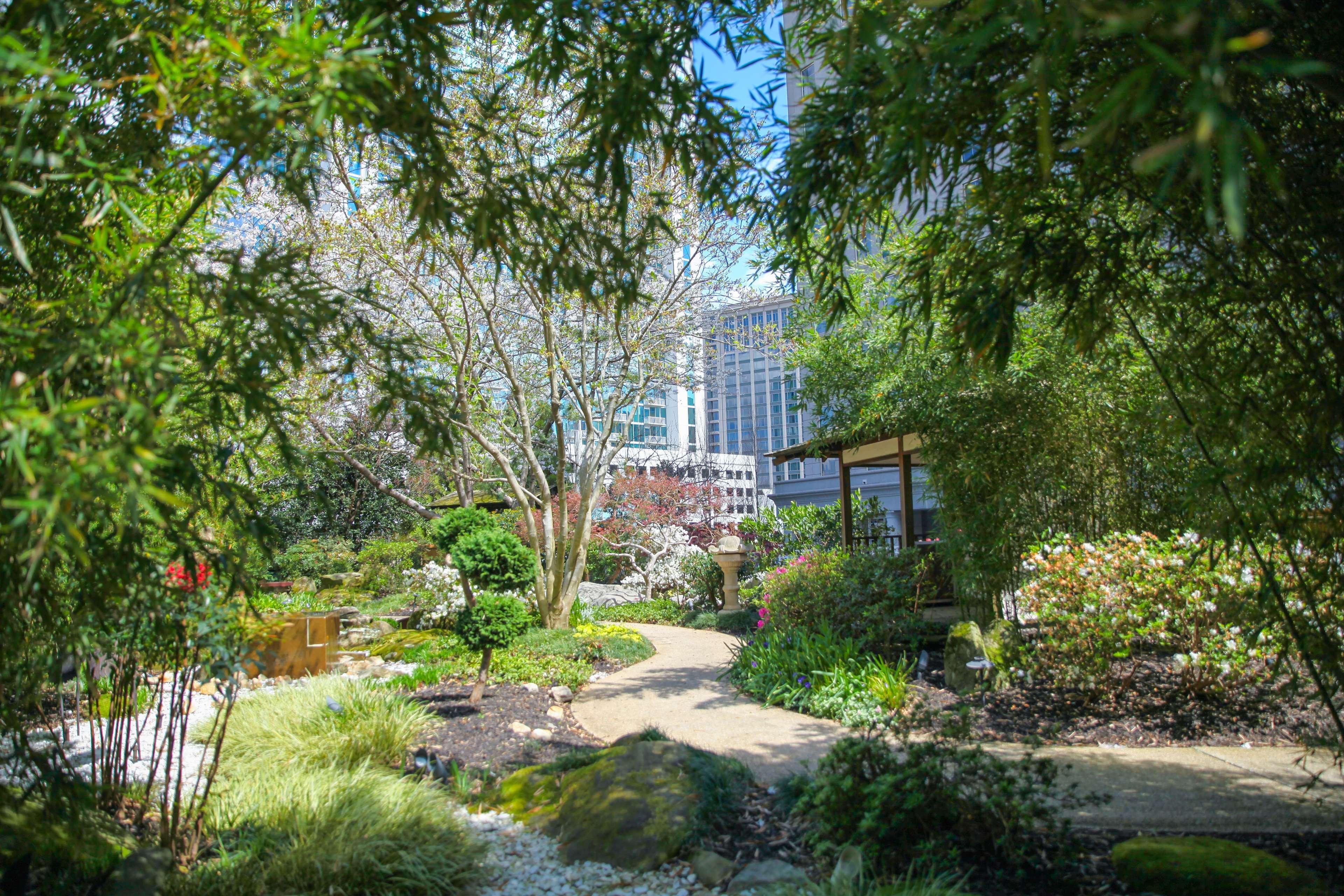 Hotel Grand Hyatt Atlanta in Buckhead Exterior foto